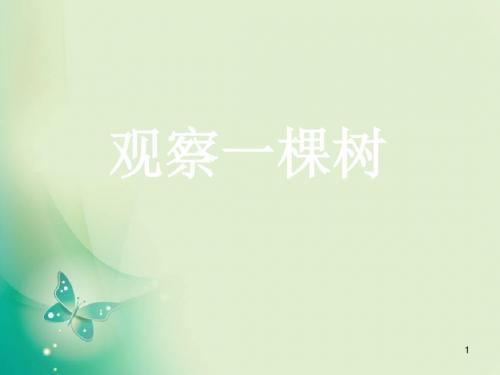 【推荐】四年级上册科学课件-第7课 观察一棵树(3)_鄂教版 (共20张PPT)