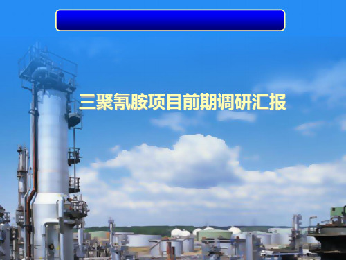 三聚氰胺项目可研汇报