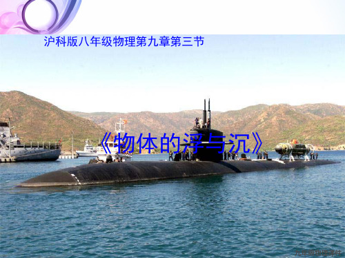 物体的浮与沉 优质课课件