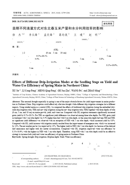 苗期不同滴灌方式对东北春玉米产量和水分利用效率的影响