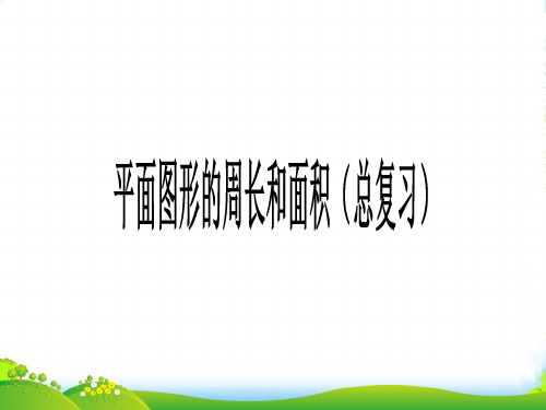 沪教五年级下册数学课件6.5 总复习：图形与几何(平面图形的周长和面积) (共13张)