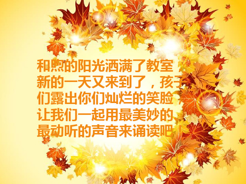 《蒲公英》阅读