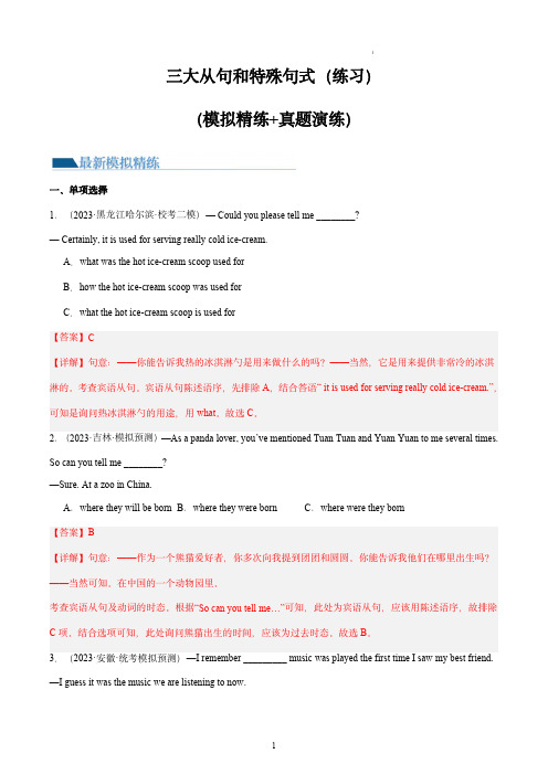 三大从句(宾语从句、状语从句、定语从句)和特殊句式-中考英语一轮复习讲练测(全国通用)(解析版)