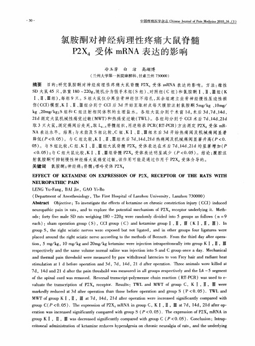氯胺酮对神经病理性疼痛大鼠脊髓P2X_4受体mRNA表达的影响