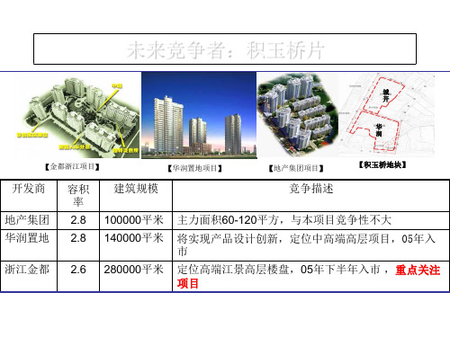 德思勤武汉市沙湖项目定位汇报中
