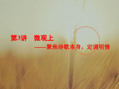 最新-全国2021版高考语文一轮复习课件：专题六古代诗歌阅读第一编如何读懂诗宏观中观微观三观破解阅读