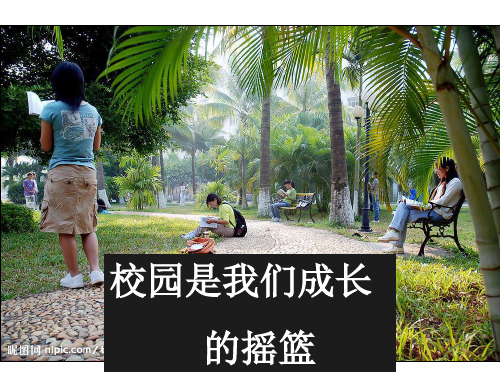 《再别康桥》获奖公开课优秀课件