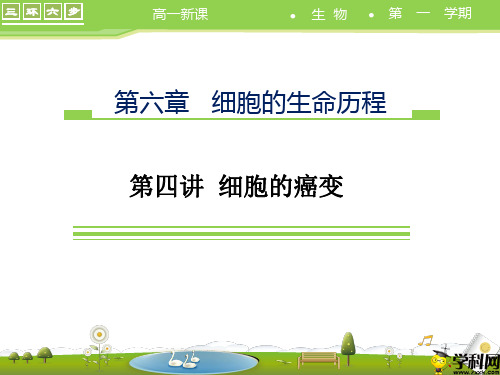 黑龙江省大庆市育才中学人教版高中生物必修一课件：63细胞癌变(共36张PPT)