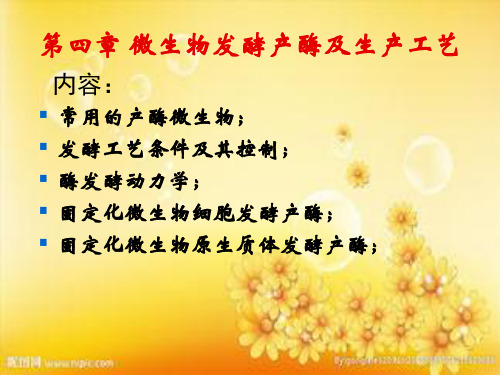 微生物发酵产酶及生产工艺