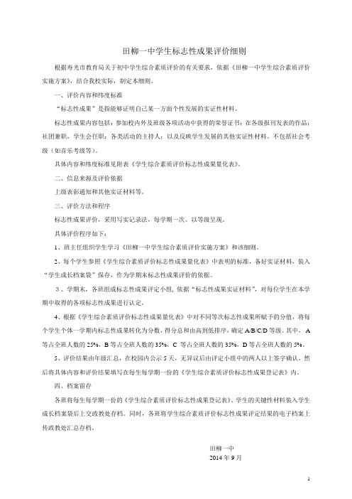 标志性成果评价细则