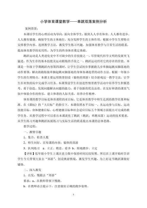 小学体育课堂教学——单跳双落案例分析