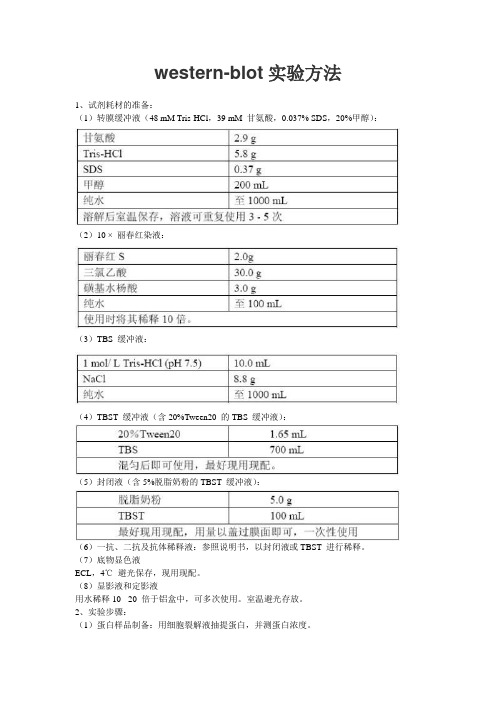 western-blot实验方法