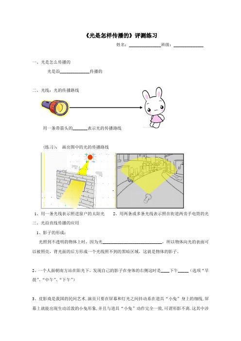 五年级上册科学练习-2.3 光是怎样传播的｜教科版 (无答案)