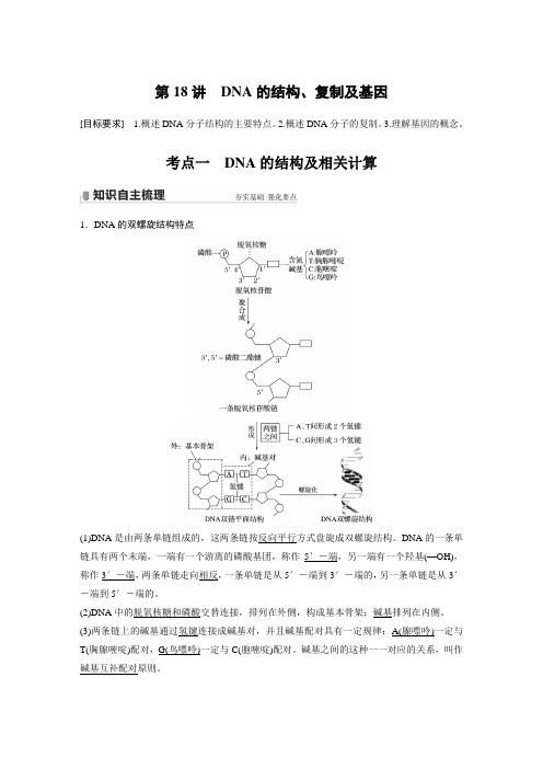 2022新高考 一轮复习 人教版DNA的结构、复制及基因   教案
