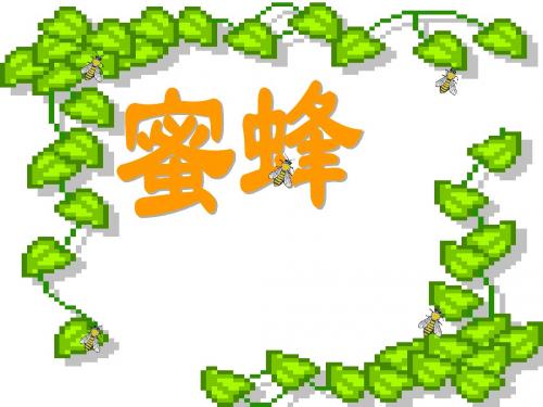 小学《蜜蜂》ppt课件