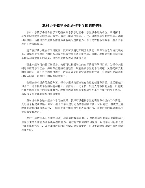 农村小学数学小组合作学习的策略探析