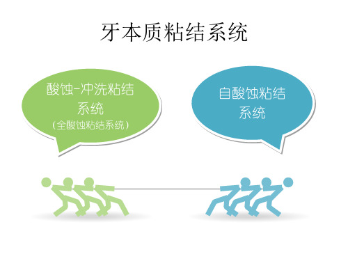 粘结系统