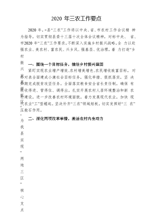 2020 年三农工作要点