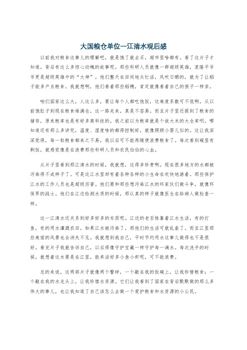 大国粮仓单位一江清水观后感