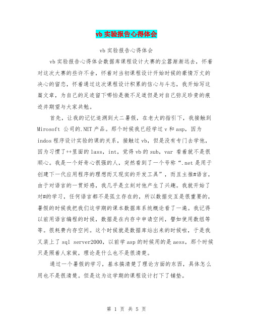 vb实验报告心得体会