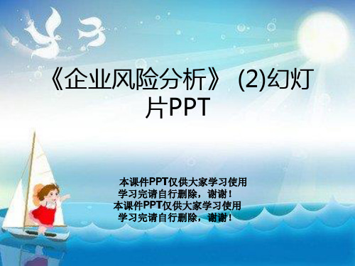 《企业风险分析》 (2)幻灯片PPT