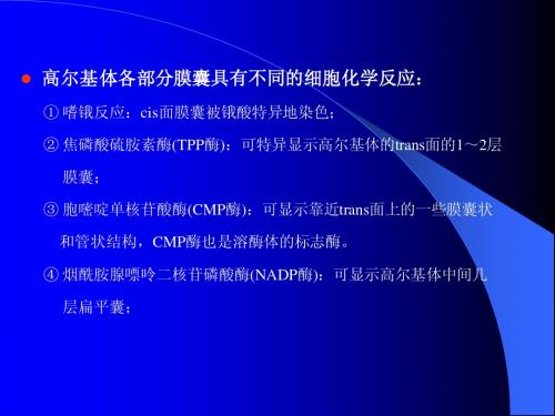 细胞质基质2