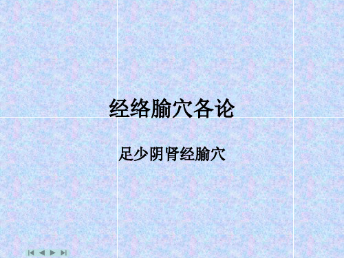 24肾经腧穴