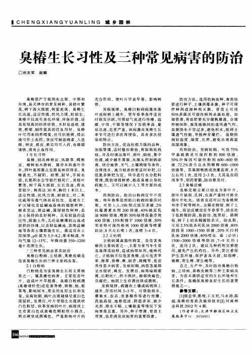 臭椿生长习性及三种常见病害的防治