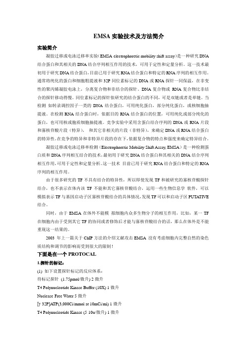 EMSA原理简介