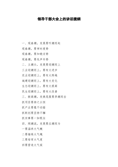 领导干部大会上的讲话提纲