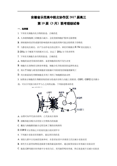 2018安徽省皖北协作区3月联考生物试题