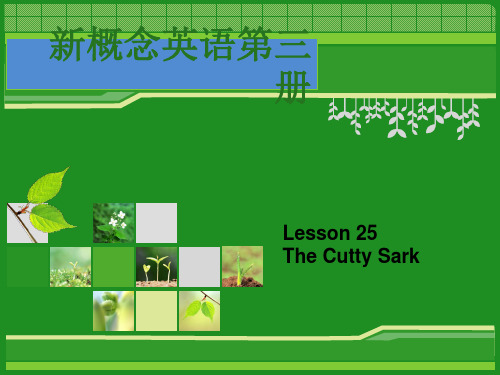 新概念英语第三册第25课 lesson25