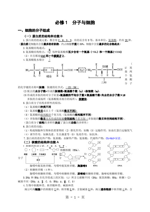 高中生物必修1   分子与细胞   基础知识点归纳共14页word资料