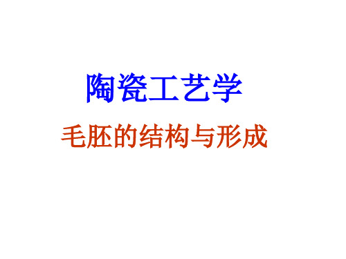 陶瓷工艺学陶瓷坯体结构与形成 