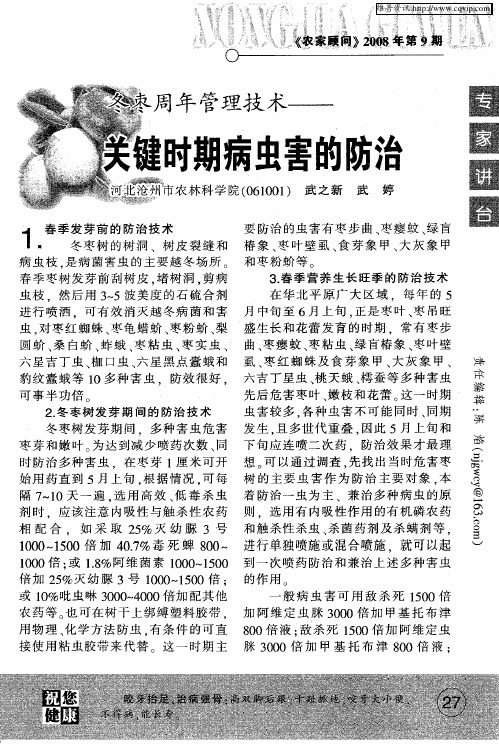 冬枣周年管理技术——关键时期病虫害的防治