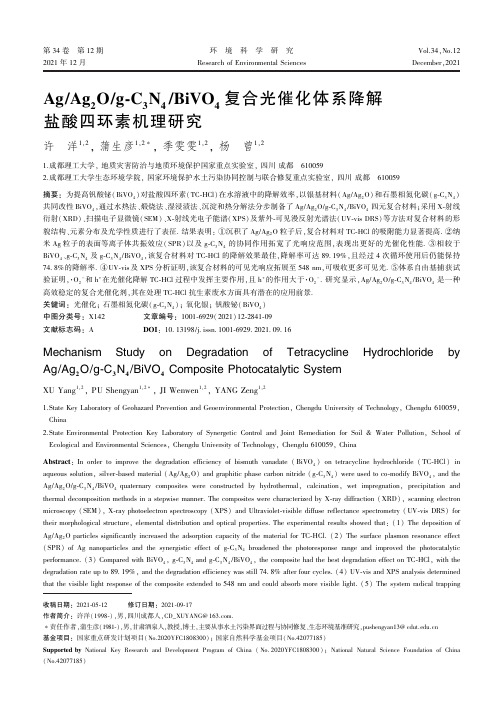 Ag/Ag 2 O/g-C 3 N 4 /BiVO 4 复合光催化体系降解盐酸四环素机理研究