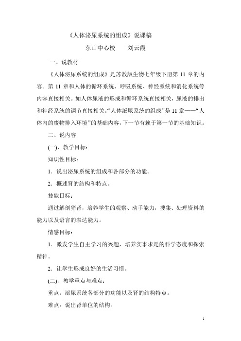 人体泌尿系统的组成说课