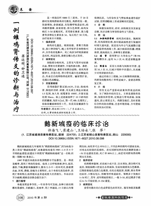 一例雏鸡肾传支的诊断与治疗