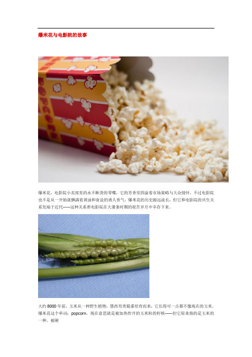 爆米花与电影院的故事