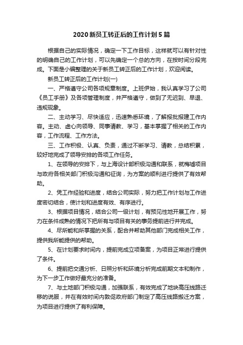 2020新员工转正后的工作计划5篇