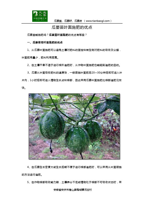 瓜蒌苗叶面施肥的优点