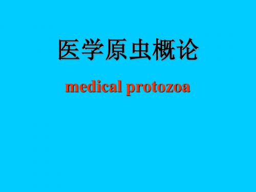 原虫概论与疟原虫