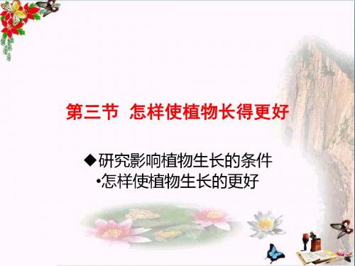 五年级科学上册第3课怎样使植物长得更好课件4冀教版