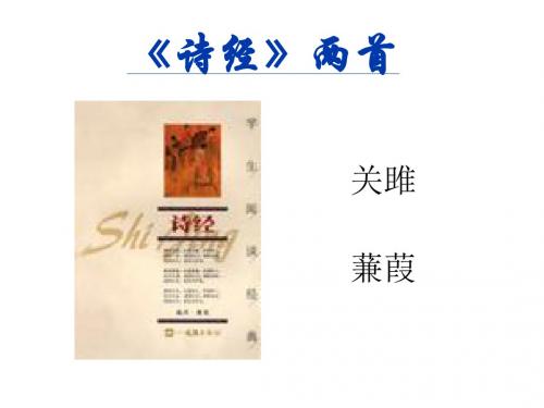 24诗经两首《关雎》《蒹葭》ppt课件