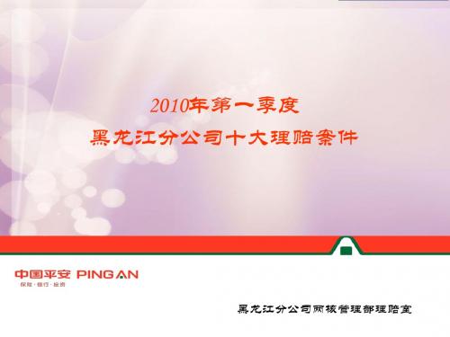 2010年第一季度十大理赔案件
