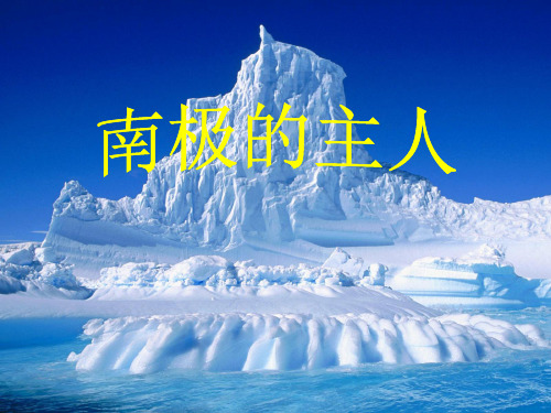 苏教版小学语文一年级下册课件：15南极的主人