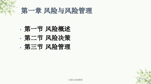 风险与风险管理课件