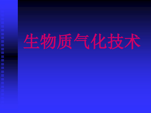 第3章 生物质气化技术 课件3 2011.10.19