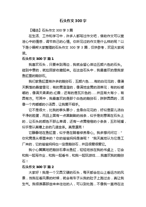 【精选】石头作文300字3篇