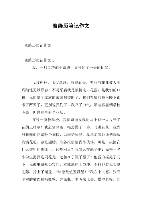 蜜蜂历险记作文